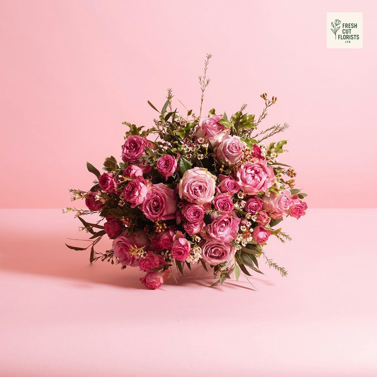 Blush Bloom