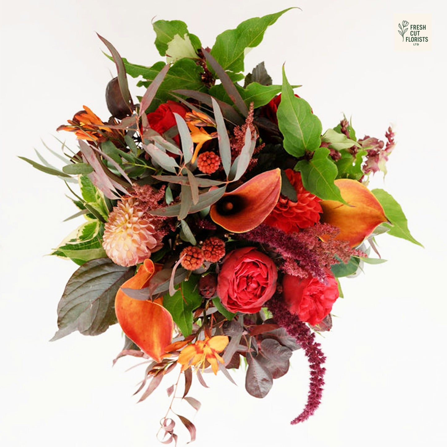Autumn Ember