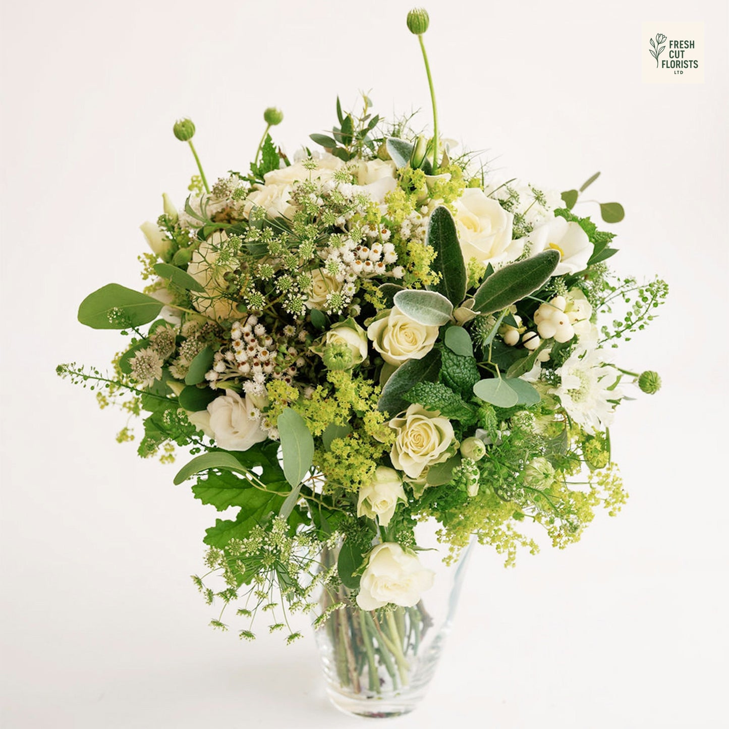 Verdant Whisper