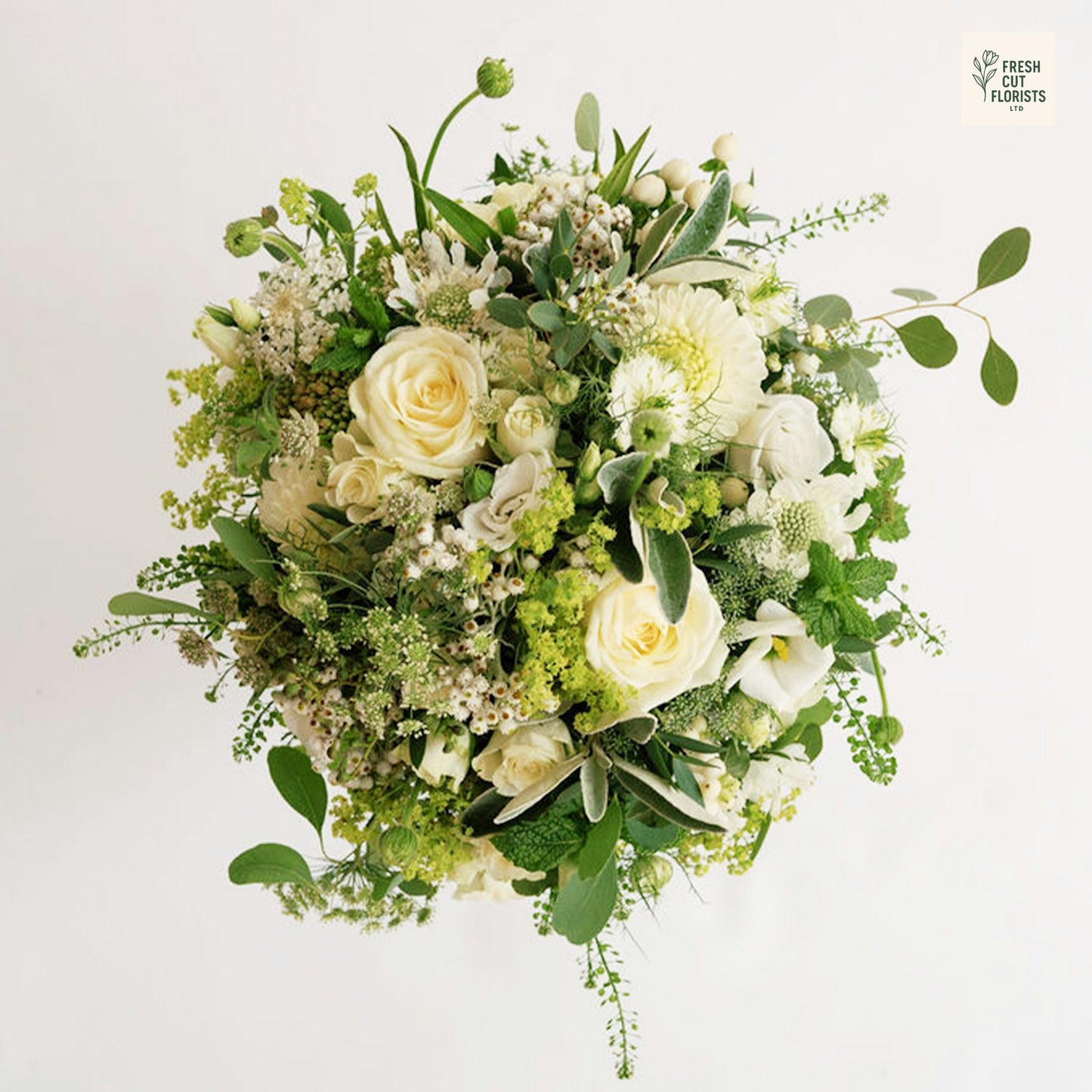 Verdant Whisper