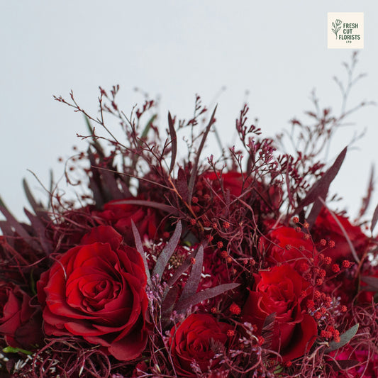 Velvet Rouge