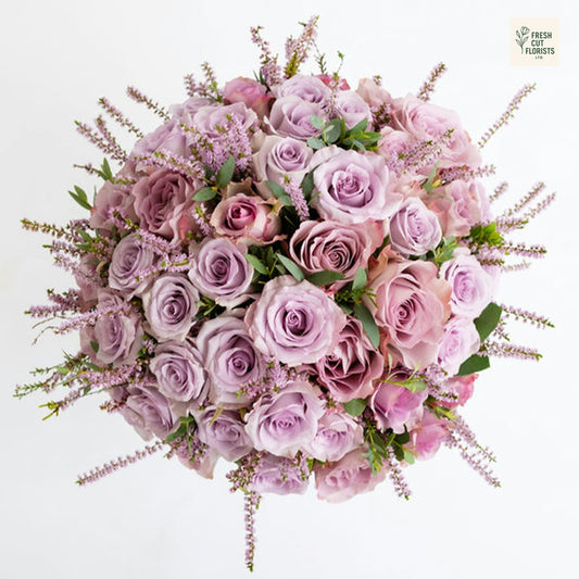 Lavender Grace